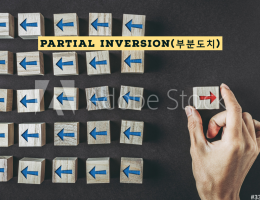 부분도치(Partial Inversion)