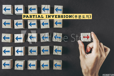 부분도치(Partial Inversion)