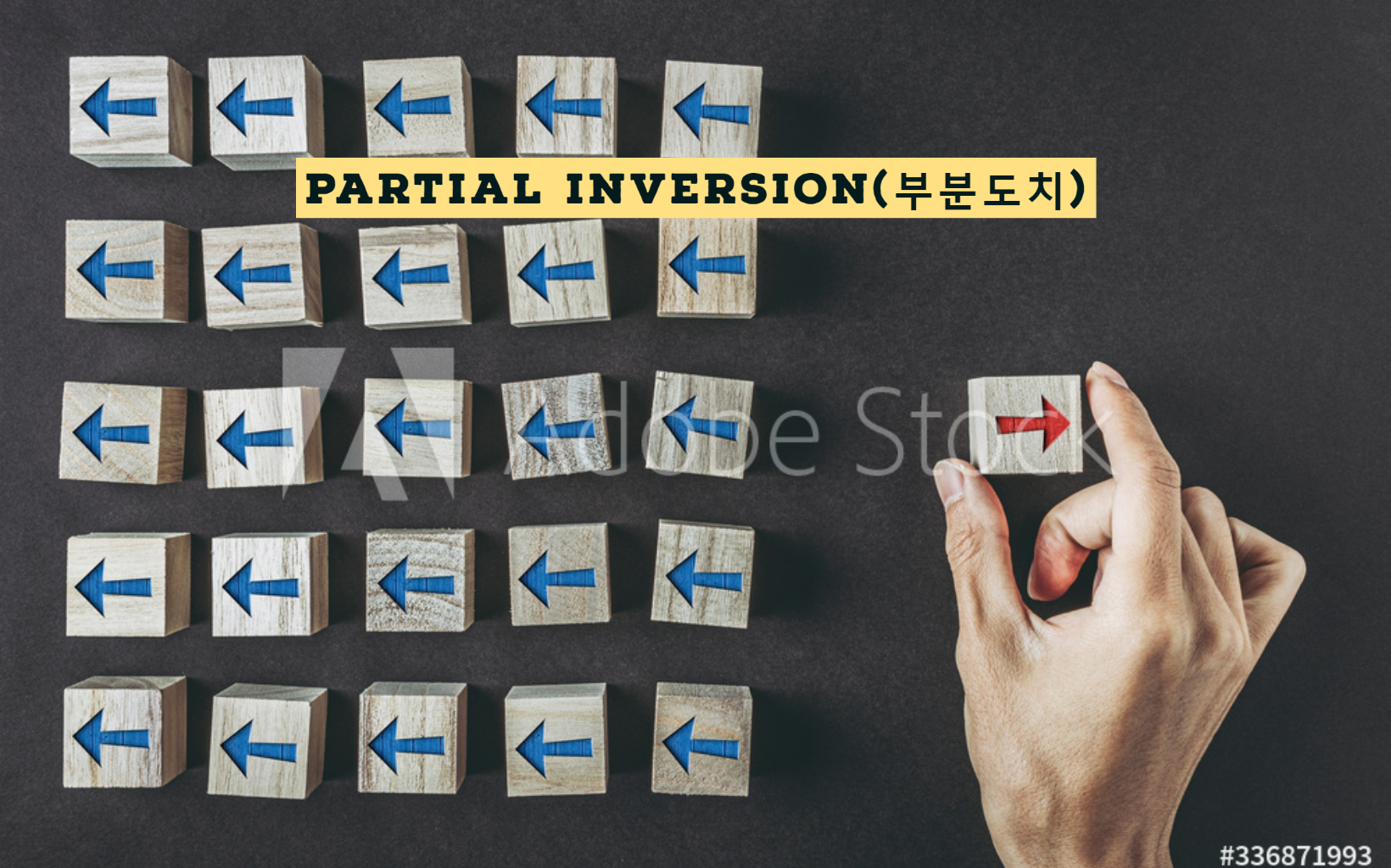 부분도치(Partial Inversion)