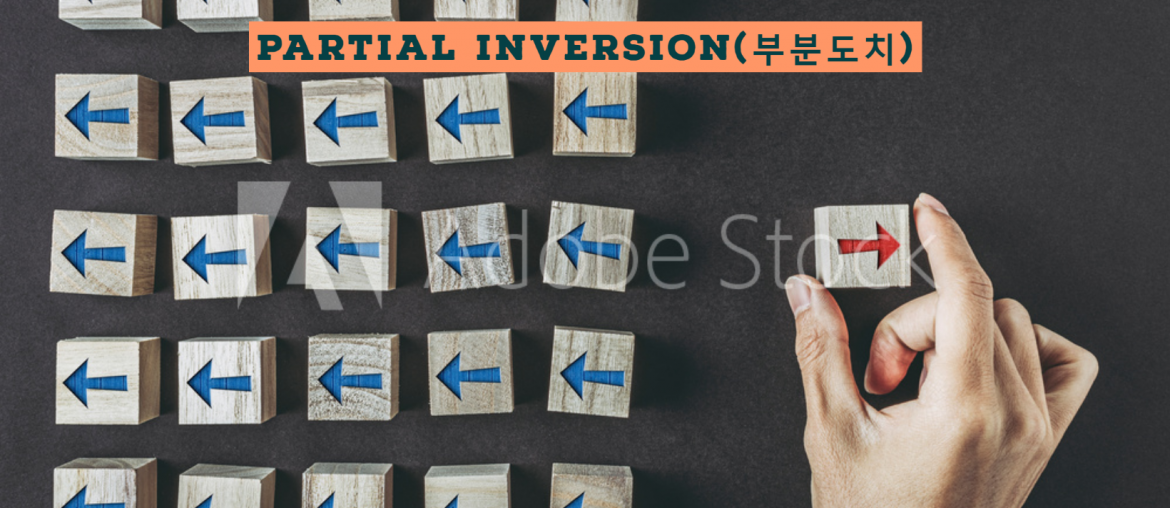 부분도치(Partial Inversion)