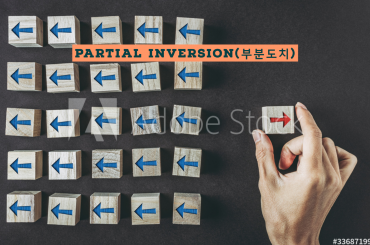 부분도치(Partial Inversion)