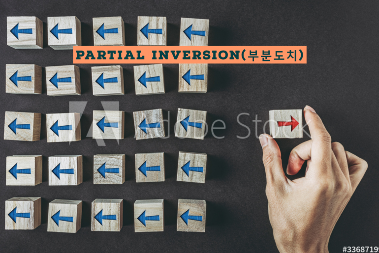 부분도치(Partial Inversion)