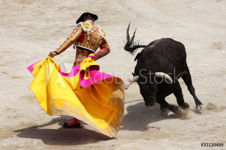 bullfighting