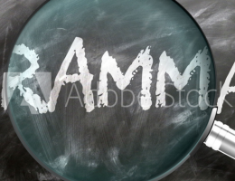 접속사 선택 (that vs. what)