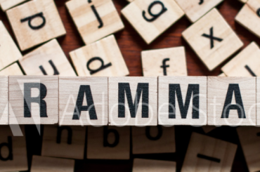 which의 특별용법