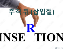 주격 뒤 삽입절