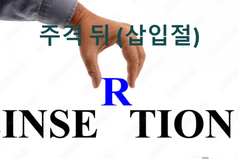 주격 뒤 삽입절