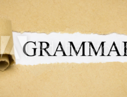 광의적 일반동사