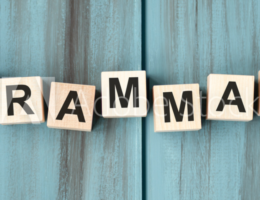 동사원형/분사를 목적격 보어로 취하는 동사