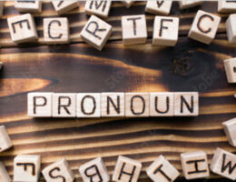 찍신닷컴-pronoun